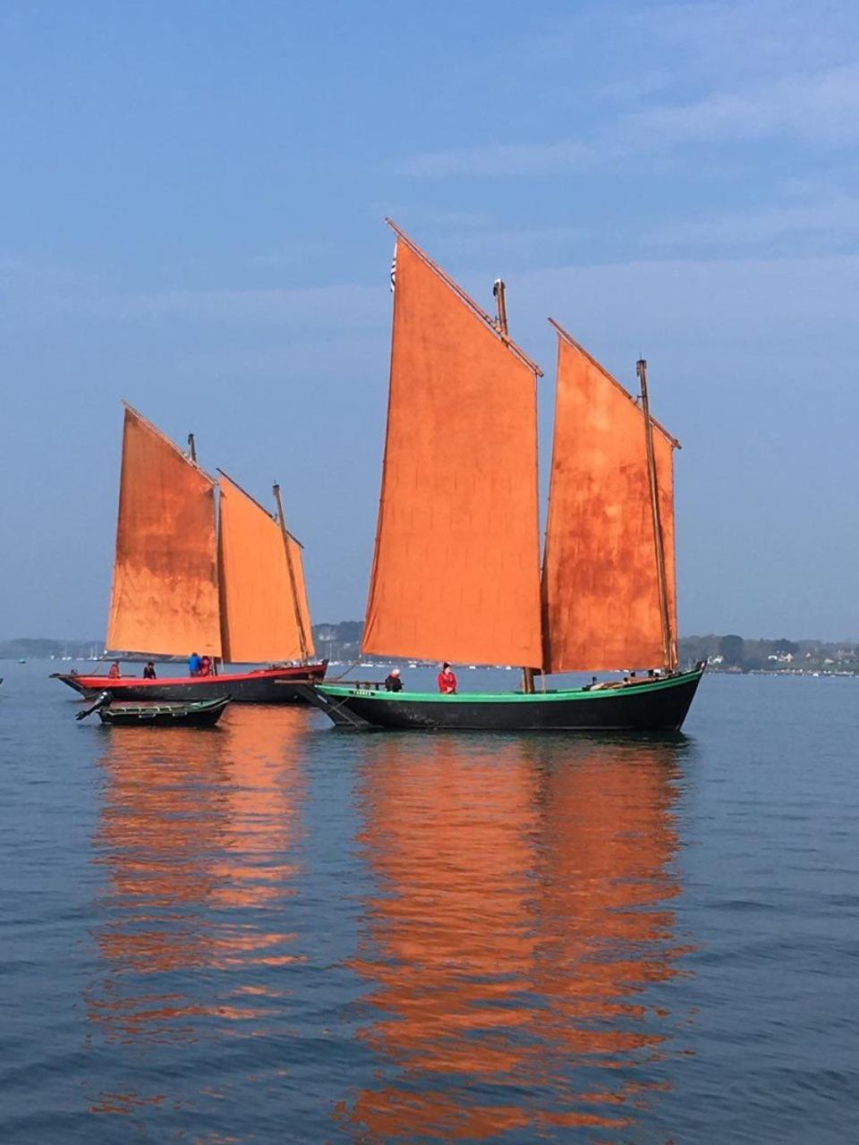 1 2 3 Chambres Entre La Presqu Ile De Rhuys Et Le Golfe Du Morbihan Theix Kültér fotó